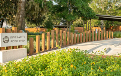 Fostering Community Growth through Sustainable Park Design